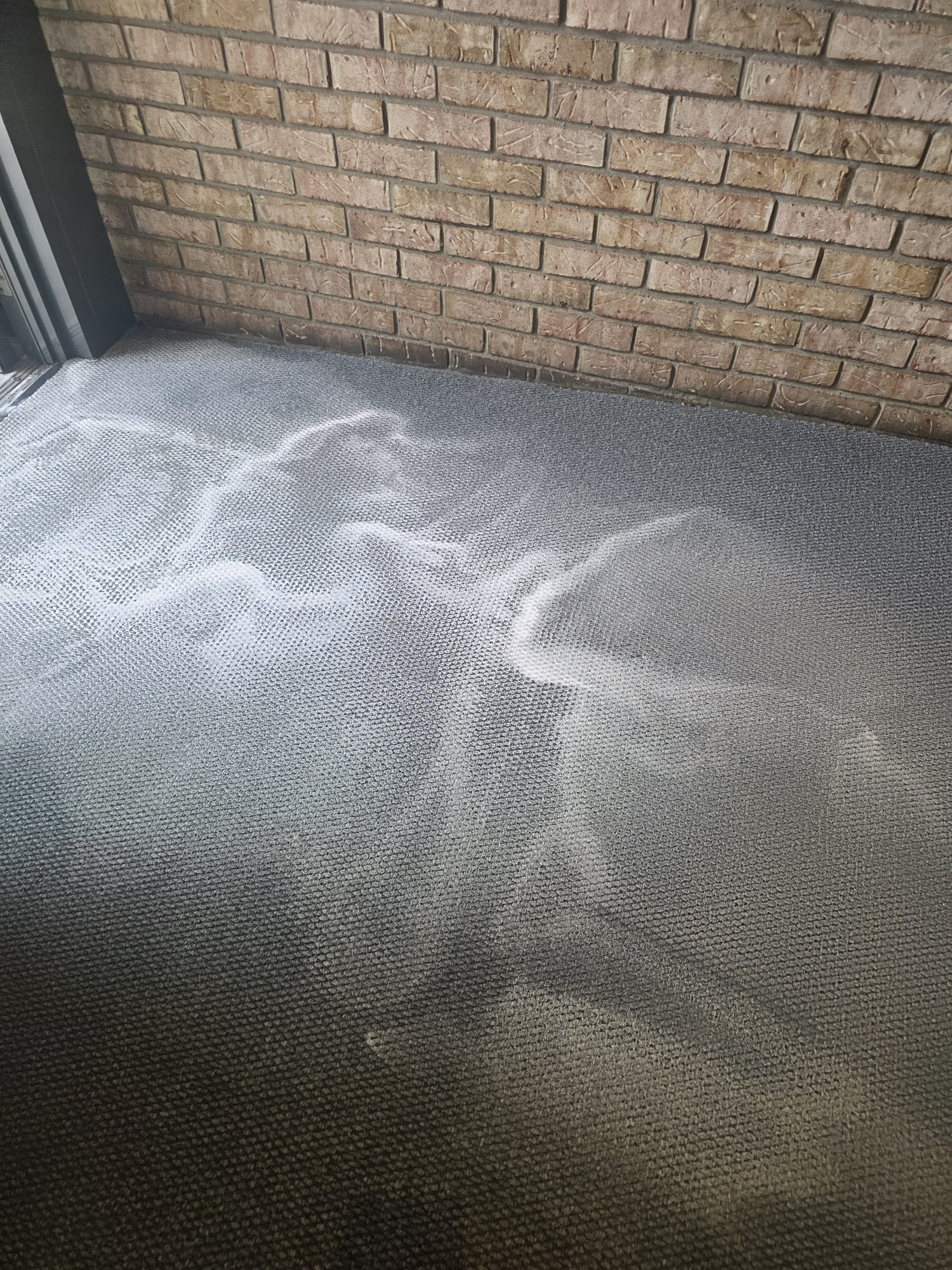 Before: Carpet Steam Cleaning
