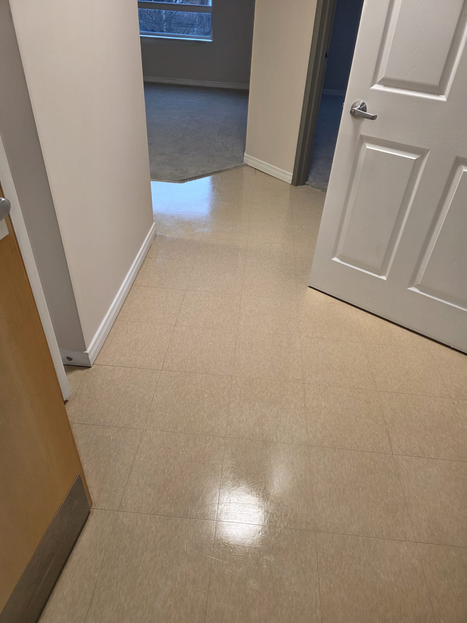 Commercial floor after wax